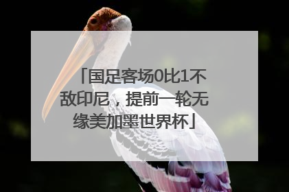 国足客场0比1不敌印尼，提前一轮无缘美加墨世界杯