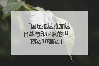 国足抵达雅加达备战与印尼队的世预赛18强赛