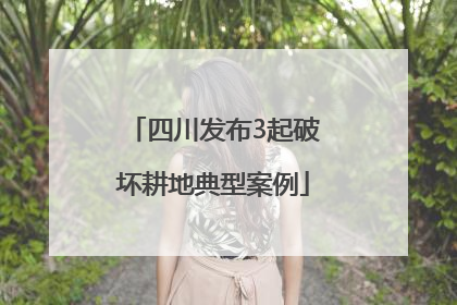 四川发布3起破坏耕地典型案例