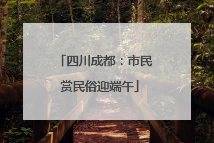 四川成都：市民赏民俗迎端午