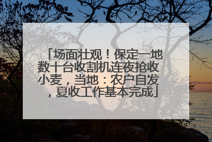 场面壮观！保定一地数十台收割机连夜抢收小麦，当地：农户自发，夏收工作基本完成