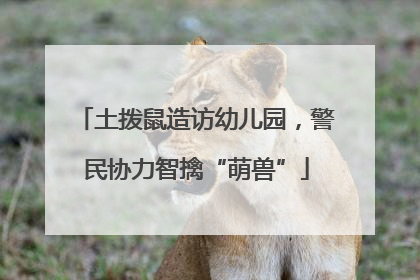 土拨鼠造访幼儿园，警民协力智擒“萌兽”