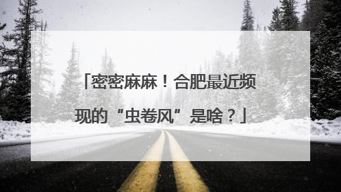 密密麻麻！合肥最近频现的“虫卷风”是啥？