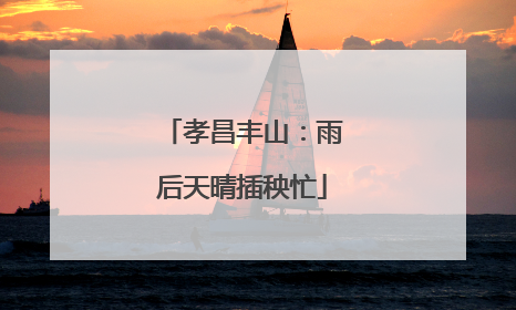 孝昌丰山：雨后天晴插秧忙