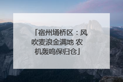 宿州埇桥区：风吹麦浪金满地 农机轰鸣保归仓