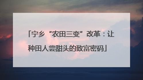 宁乡“农田三变”改革：让种田人尝甜头的致富密码
