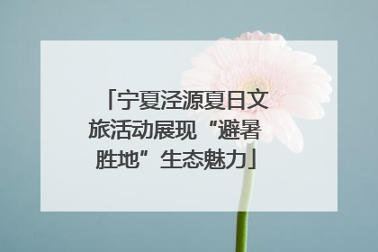 宁夏泾源夏日文旅活动展现“避暑胜地”生态魅力
