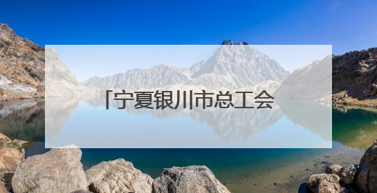 宁夏银川市总工会举办“劳模看银川 幸福微疗养”活动