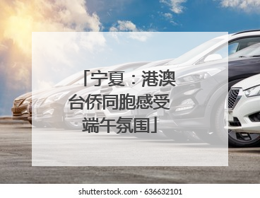 宁夏：港澳台侨同胞感受端午氛围
