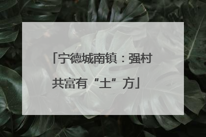 宁德城南镇：强村共富有“土”方