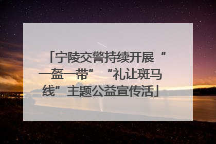 宁陵交警持续开展“一盔一带”“礼让斑马线”主题公益宣传活