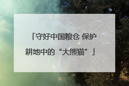 守好中国粮仓 保护耕地中的“大熊猫”