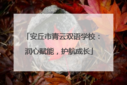 安丘市青云双语学校：润心赋能，护航成长