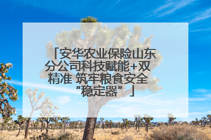 安华农业保险山东分公司科技赋能+双精准 筑牢粮食安全“稳定器”