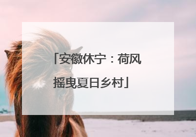安徽休宁：荷风摇曳夏日乡村