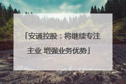 安通控股：将继续专注主业 增强业务优势