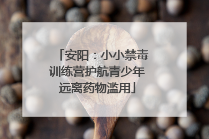 安阳：小小禁毒训练营护航青少年远离药物滥用