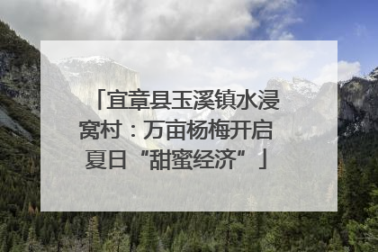 宜章县玉溪镇水浸窝村：万亩杨梅开启夏日“甜蜜经济”