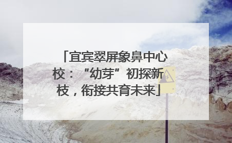 宜宾翠屏象鼻中心校：“幼芽”初探新枝，衔接共育未来