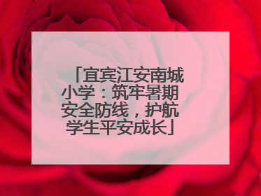 宜宾江安南城小学：筑牢暑期安全防线，护航学生平安成长