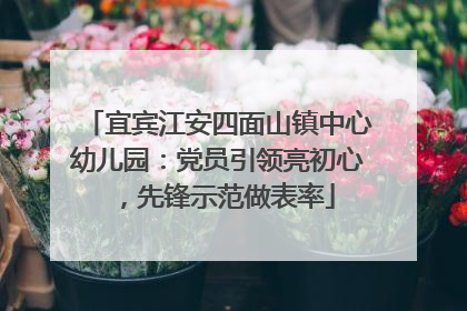 宜宾江安四面山镇中心幼儿园：党员引领亮初心，先锋示范做表率