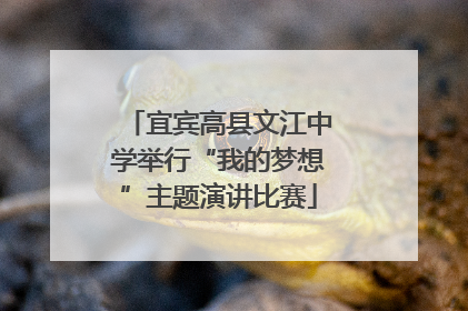 宜宾高县文江中学举行“我的梦想”主题演讲比赛