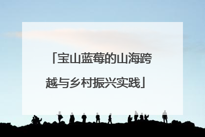 宝山蓝莓的山海跨越与乡村振兴实践