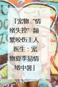 宠物“情绪失控”频繁咬伤主人 医生：宠物夏季易情绪中暑