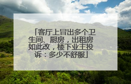 客厅上冒出多个卫生间、厨房，出租房如此改，楼下业主投诉：多少不舒服
