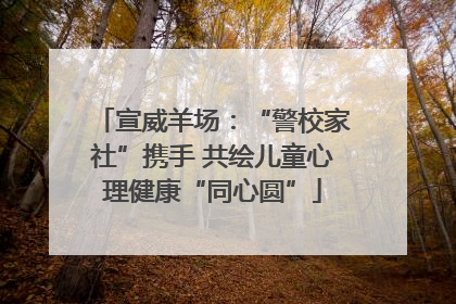 宣威羊场：“警校家社”携手 共绘儿童心理健康“同心圆”