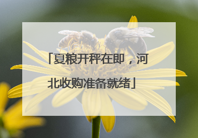 夏粮开秤在即，河北收购准备就绪