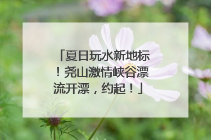 夏日玩水新地标！尧山激情峡谷漂流开漂，约起！