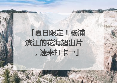 夏日限定！杨浦滨江的花海超出片，速来打卡→
