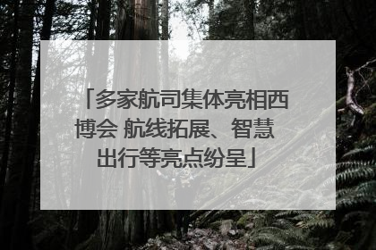 多家航司集体亮相西博会 航线拓展、智慧出行等亮点纷呈