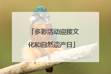 多彩活动迎接文化和自然遗产日