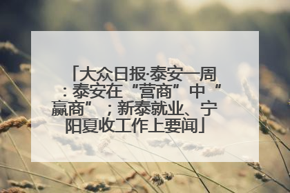大众日报·泰安一周：泰安在“营商”中“赢商”；新泰就业、宁阳夏收工作上要闻