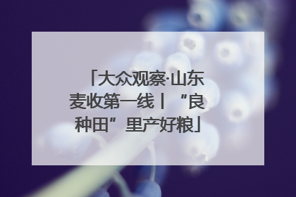 大众观察·山东麦收第一线丨“良种田”里产好粮