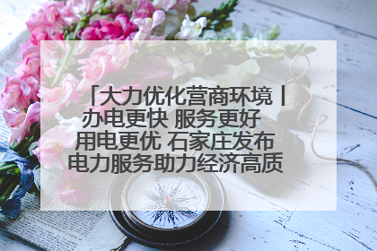 大力优化营商环境丨办电更快 服务更好 用电更优 石家庄发布电力服务助力经济高质量发展八项措施