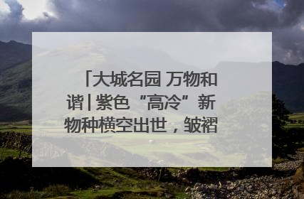 大城名园 万物和谐│紫色“高冷”新物种横空出世，皱褶叶片暗藏进化密码