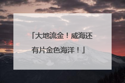 大地流金！威海还有片金色海洋！