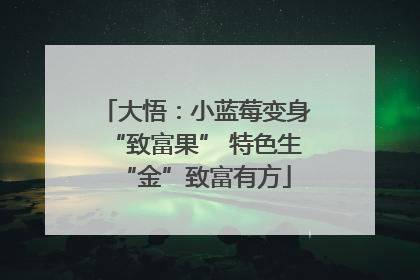 大悟：小蓝莓变身“致富果” 特色生“金”致富有方