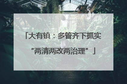 大有镇：多管齐下抓实“两清两改两治理”