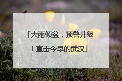大雨倾盆，预警升级！直击今早的武汉