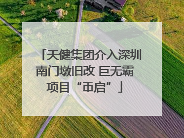 天健集团介入深圳南门墩旧改 巨无霸项目“重启”