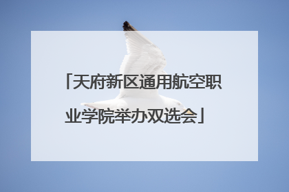 天府新区通用航空职业学院举办双选会