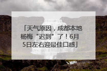天气原因，成都本地杨梅“迟到”了！6月5日左右迎最佳口感