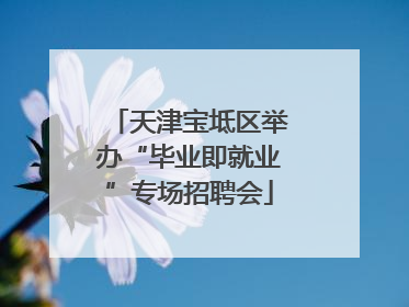 天津宝坻区举办“毕业即就业”专场招聘会