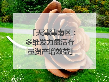 天津津南区：多维发力盘活存量资产增效益