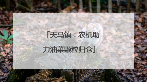 天马镇：农机助力油菜颗粒归仓