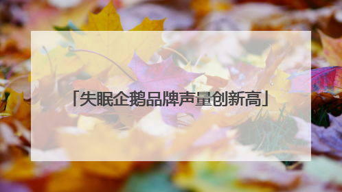 失眠企鹅品牌声量创新高